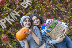 Happy Pumpkin Day