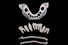 Zagadnienia medyczne w Katedrze Konstrukcji Maszyn